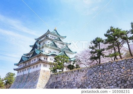 图库照片: 名古屋城堡和樱花