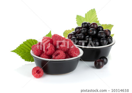 图库照片: black currant and raspberry