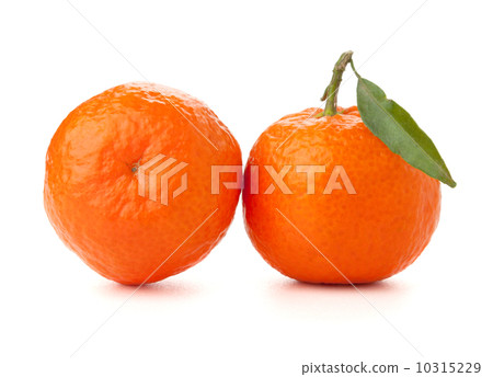 two ripe tangerines