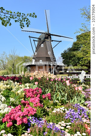 stock photo: windmill and flower garden