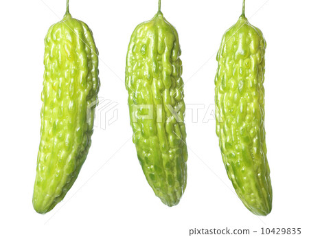 图库照片: bitter melon