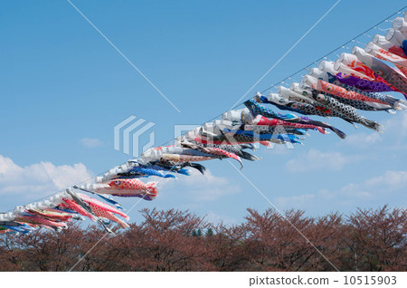 carp streamer, ascending, children"s day