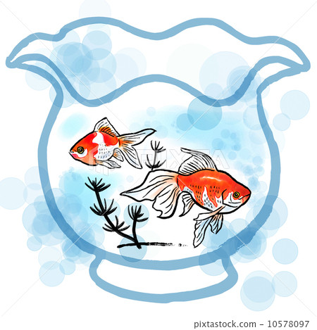 鱼 金鱼缸 金鱼