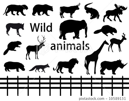 图库插图: vector set: wild animals