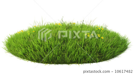 grass