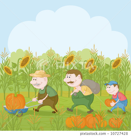 图库插图: farmers with the harvest of pumpkins