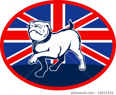 图库插图: proud english bulldog marching with british flag