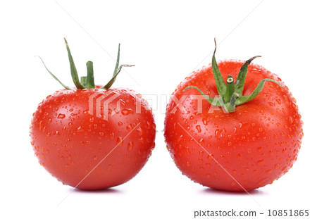 two red ripe tomatoes isolated