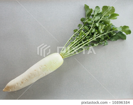 stock photo: japanese radish