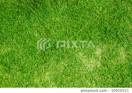 图库照片: green grass background