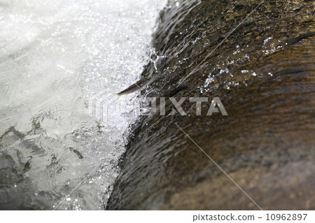 《逆流而上的你》开机 马丽带领着他们辟出一