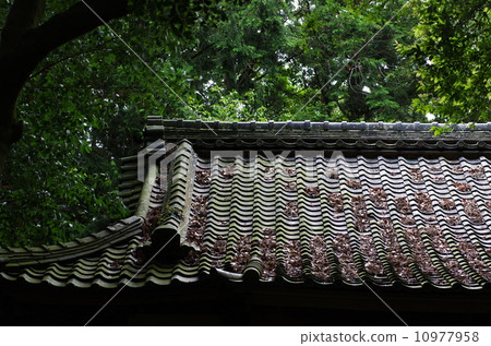 图库照片: 神社的瓦屋顶