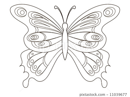 插图素材: butterfly, contours