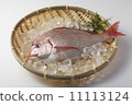 fish, red sea bream, fishes
