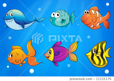 different kinds of fishes under the ocean