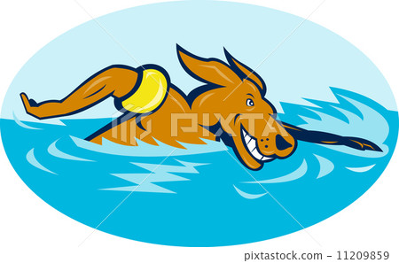 插图素材: cartoon dog swimming