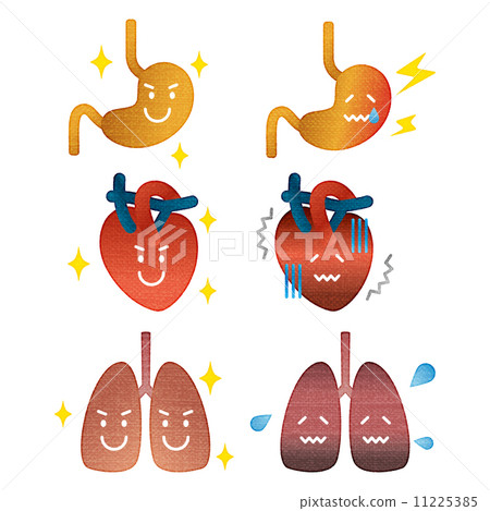 插图素材: 胃肺心脏胃脏器官