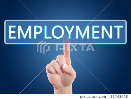 employment 11343668