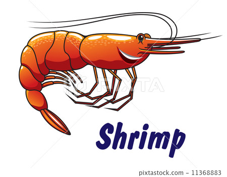 图库插图: cartoon shrimp icon or emblem