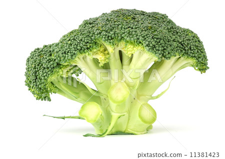 图库照片: broccoli