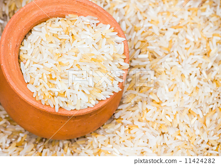 rice 11424282