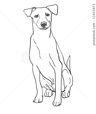 图库插图: sitting brown dog