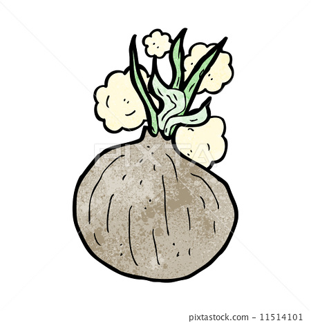 插图素材: cartoon onion