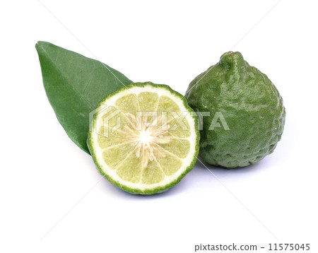 图库照片: kaffir lime.