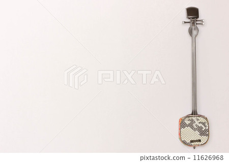 stock photo: shamisen - white background