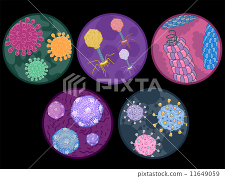 common viruses