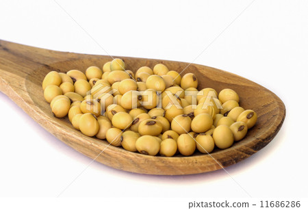 图库照片: soy bean.