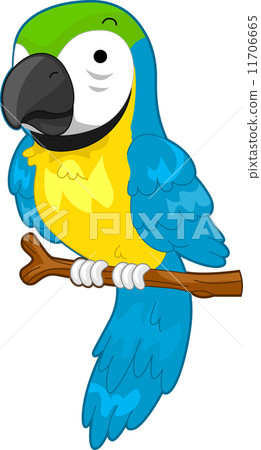 插图素材: parrot