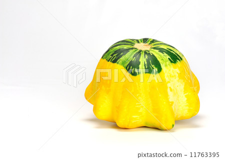 courgette, courgettes, zucchini