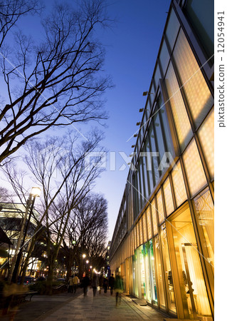 日本风景 东京 表参道 照片 表参道夜景 首页 照片 日本风景 东京