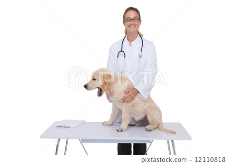 图库照片: smiling vet checking a puppy