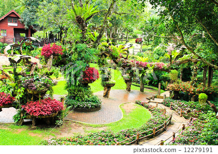 图库照片: mae fah luang garden,locate on doi tung,thailand