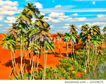 插图素材: palm trees on desert