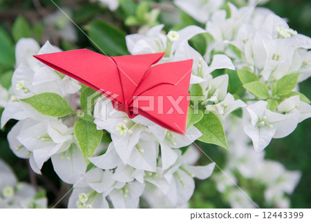 图库照片 butterfly origami with flower