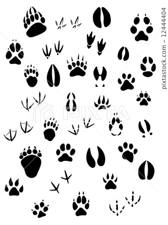 插图素材: animal footpints set 查看全部