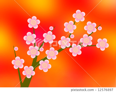 花朵 开花 日本杏花