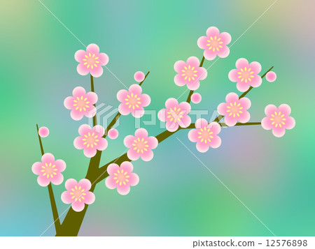 插图素材 梅花