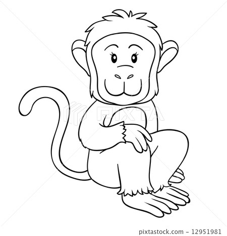 coloring book (monkey) 12951981