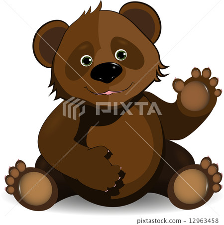 funny bear 12963458