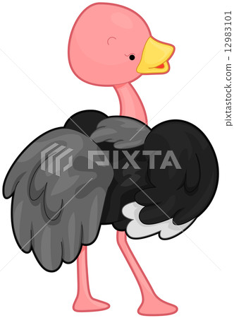 插图素材: ostrich