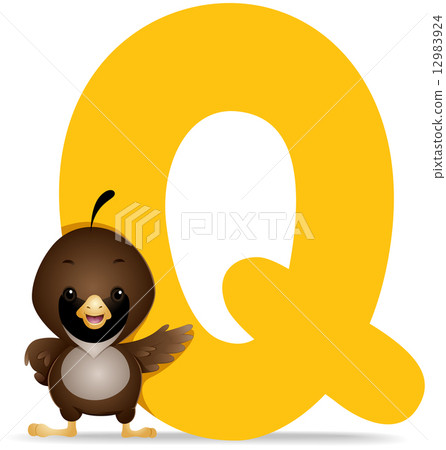 图库插图: q for quail