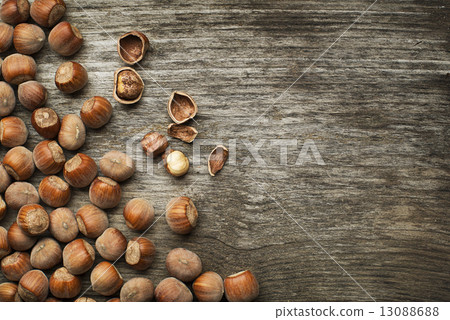 hazelnuts 13088688