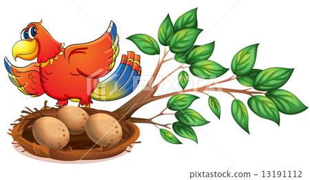 插图素材: a colourful bird at the branch of a tree with a nest