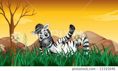 插图素材: a zebra resting at the grassland near the big rocks