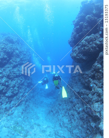 图库照片: 戴水肺潜水 潜水员 跳水