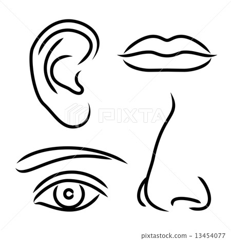 图库插图: vector illustration nose, ear, mouth and eye